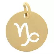 Ciondolo rotondo - Segno del Capricorno 12mm -acciaio inox 304 dorato x1