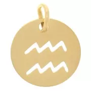 Ciondolo rotondo - segno zodiacale Acquario 12 mm -acciaio inox 304 dorato x1