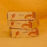 Kit perle Miyuki Perles and Co - Miyuki Delica 11/0 Royal Mix