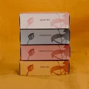 Kit perle Miyuki Perles and Co - Miyuki Delica 11/0 Royal Mix