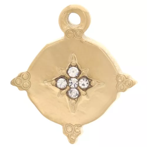 Pendente rotondo stella del nord 18mm con Ossido di zirconio acciaio inossidabile 316L dorato