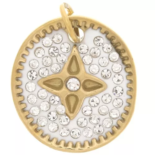 Pendente ovale 16,5x15 mm con resina e Ossido di zirconio Acciaio inossidabile 316L dorato x1