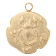 Ciondolo irregolare 14.5x12 mm Maggiolino - Acciaio inossidabile 316L doratox1