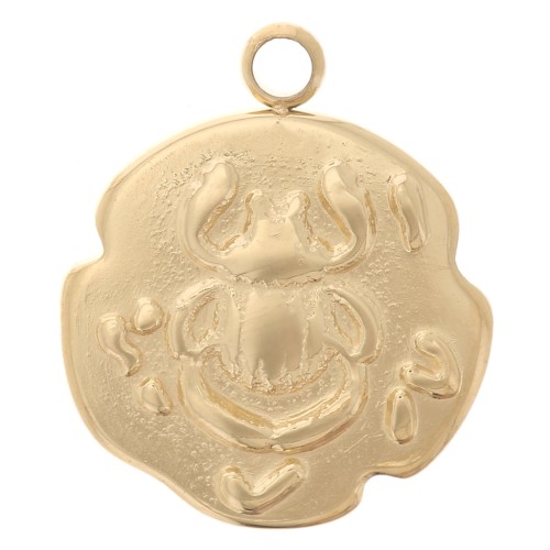 Ciondolo irregolare 14.5x12 mm Maggiolino - Acciaio inossidabile 316L doratox1