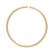 Anello aperto 20x1 mm - Gold filled x1|raw }}