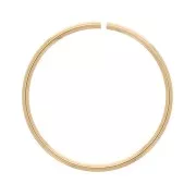 Anello aperto 20x1 mm - Gold filled x1