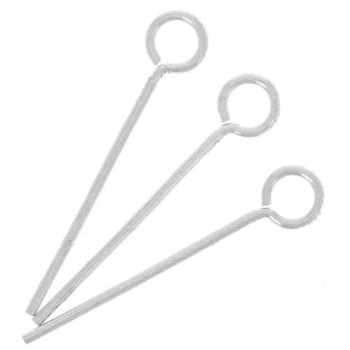 Chiodini a testa tonda 20x0.7 mm in argento 925 x10