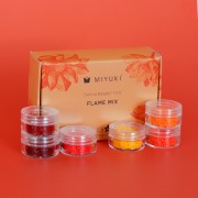 Kit perle Miyuki Perles and Co - Miyuki Delica 11/0 Flame Mix
