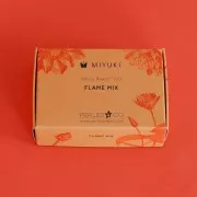 Kit perle Miyuki Perles and Co - Miyuki Delica 11/0 Flame Mix