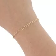 Catena Rettangolo 2,9 mm - Gold filled x50cm