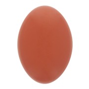 Cabochon ovale opaco in resina 14x10 mm - Terracotta x1|raw }}