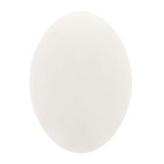 Cabochon ovale opaco in resina 14x10 mm - Avorio x1|raw }}