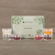 Kit di perline Miyuki By Perles&Co - Miyuki Delica 11/0 Gypsy Mix