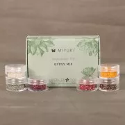 Kit di perline Miyuki By Perles&Co - Miyuki Delica 11/0 Gypsy Mix