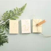 Saponetta da modellare - Miele x100g