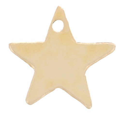 Zecchino Stella 8 mm - Gold filled x1