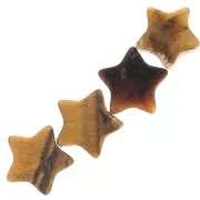 Perle stella pietra semipreziosa da 4 mm - Occhio di tigre x4