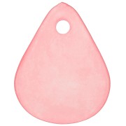 Petali di fiori in acrilico 17x14 mm con effetto smerigliato - Nude x15