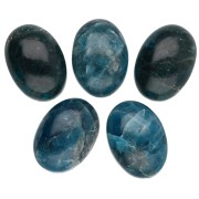 Cabochon ovale 14x10 mm - Apatite x1