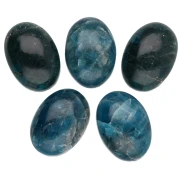Cabochon ovale 14x10 mm - Apatite x1