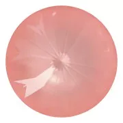 Cabochon PureCrystal 1122 Rivoli 12mm Crystal Flamingo Ignite x1