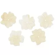 Perla fiore in resina opaca 23 mm - Crema x1
