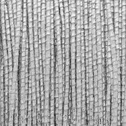 Bobina di filo italiano Luce 0,6 mm - Argento x50m