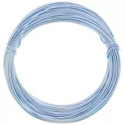 Filo di alluminio anodizzato 1 mm - Azzurro x10m