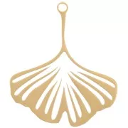 Pendente Ginkgo 26x22 mm - Acciaio inossidabile 316L Oro x1