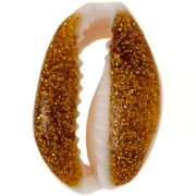 Conchiglie Cauri da 18-20mm con resina epossidica - Naturale - Dark gold Glitterx1