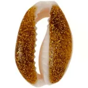 Conchiglie Cauri da 18-20mm con resina epossidica - Naturale - Dark gold Glitterx1