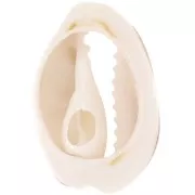 Conchiglie Cauri da 18-20mm con resina epossidica - Naturale - Dark gold Glitterx1