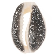 Conchiglie Cauri da 18 a 20 mm con resina epossidica - Naturale - Glitter nero x1|raw }}