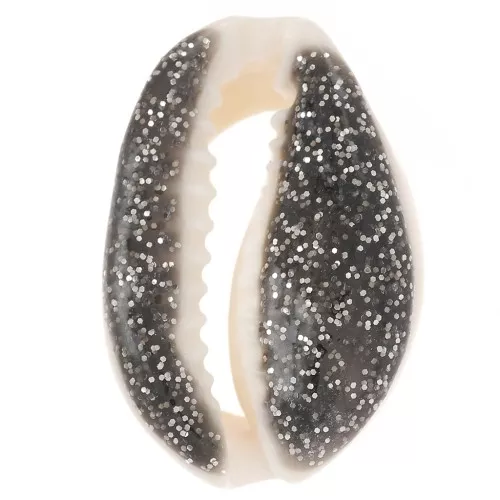 Conchiglie Cauri da 18 a 20 mm con resina epossidica - Naturale - Glitter nero x1