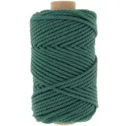 Verde bottiglia - Rocchetto di cordoncino in cotone macramè 3 mm - Verde bottiglia x50m Rocchetto di cordoncino in cotone macramè 3 mm - Verde bottiglia x50m
