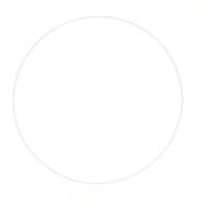 Cerchio in metallo nudo per acchiappasogni e paralume 45 cm - Bianco x1|raw }}