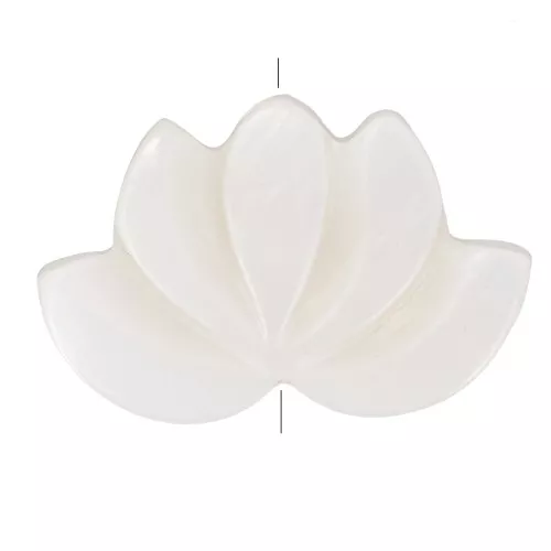 Perla fiore di loto in madreperla 11x17 mm - Naturale x1