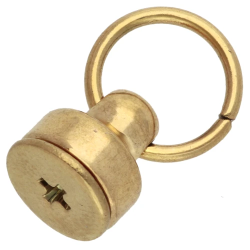 Rivetti con anello 9x8 mm per scocca di cellulare - Acciaio inossidabile 304L Dorato x2