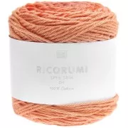 Arancio - Cotone Ricorumi Spin Spin di Rico Design per Amigurumi - Arancione x50g Cotone Ricorumi Spin Spin di Rico Design per Amigurumi - Arancione x50g