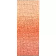 Cotone Ricorumi Spin Spin di Rico Design per Amigurumi - Arancione x50g