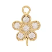 No translations found.