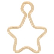 Ciondolo a stella da 11 mm Gold filled x1|raw }}
