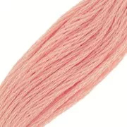 Filo da ricamo DMC Mouliné Special 117 MC - Salmone (352) x8m