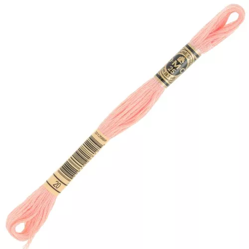 Filo da ricamo DMC Special 117 MC - Surimi (20) x8m