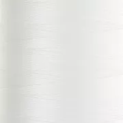 Filo di poliestere Penny Gold - Misura 30 - Bianco n°0111 x900m