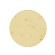 Disco 8 mm - spessore 0,8 mm - ottone grezzo x1|raw }}