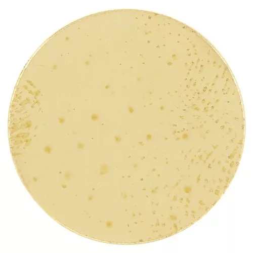 Disco 15 mm - spessore 0,8 mm - Ottone grezzo x1