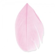 Piume 6 cm Rosa x3gr