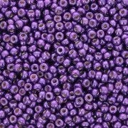 Rocaille Miyuki Duracoat 11/0 5108 - Galvanized Purple Orchid confezione da 100g
