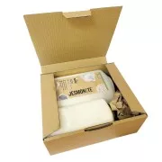 Set base in polvere da 2,5 kg e liquido da 1 L AC100 - Jesmonite